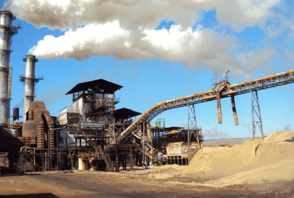 energia da biomasse in brasile