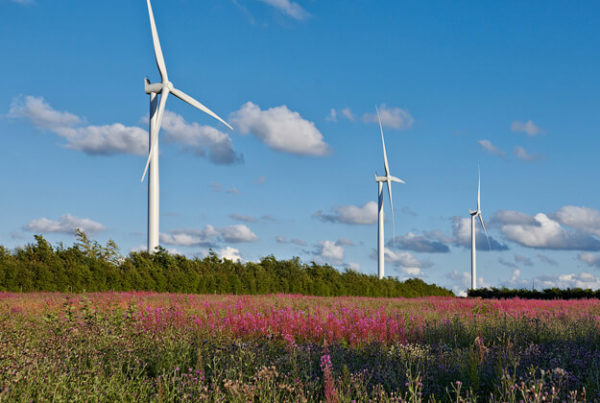 energia eolica in francia