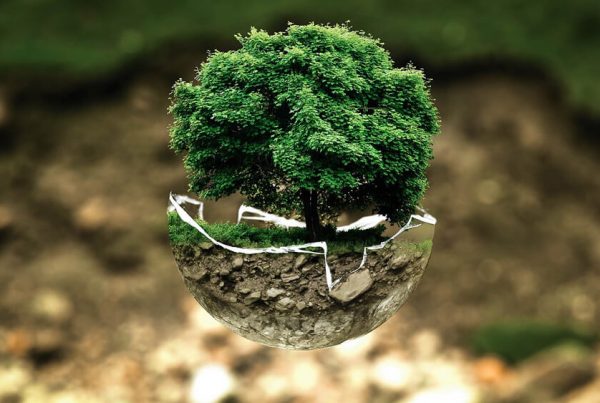 come ridurre impronta ecologica
