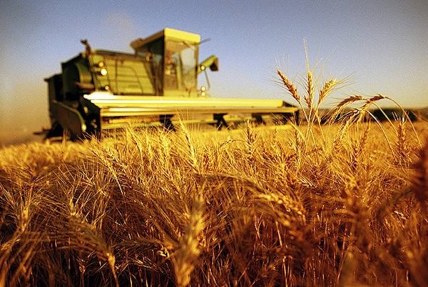 agricoltura e cambiamento climatico