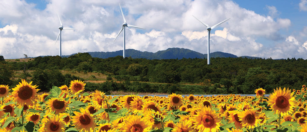 energie rinnovabili